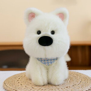 ʂ fB[X LbY 킢 EFXgnChzCgeA q }t[ l` ^ ObY PP ӂӂ ~N^b` a v[g Mtg zCg