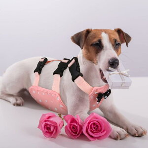 p ی앞 }i[pc pc   S̃Jo[ h~ ێ  pPA U op |GXe sN 킢 hbOEFA