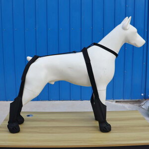 pC hbOV[Y h h Eh~ ~ ϖՐ ^ S[fgo[ nXL[ {[_[R[ |GXe ubN U AEghA ueBbVX^C