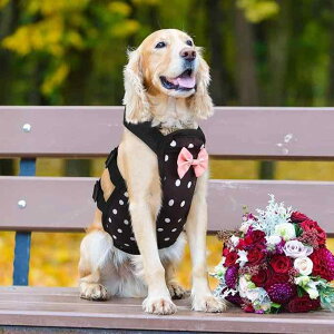 p pEFA ی ی  h ʋC Vc hbOEFA p㕞 앞 }i[EFA