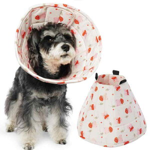 GUxXJ[ ybgp L  rߖh~ ݂h~ pPA ی  \tg y XgXy PPf ʋC 킢 ueBbVX^C  zCg