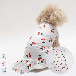 ybgEFA efBp t  ڐG⊴ _炩  oii IW  t[c vZX ^Ngbvs[X