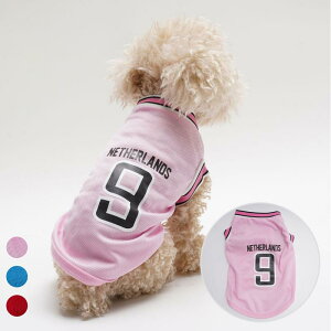 ybgEFA  L xXg t oXPbg{[ jtH[ wԍ9 ؂ւ u bV m[X[u hbOEFA TVc  킢 sN   ^ ^ ^