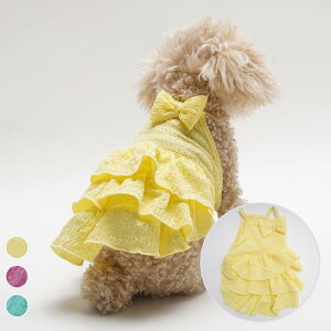 ybg  y ʋC ^ L t |GXef eBA[hs[X 킢 LfB[J[ efB rV Lp