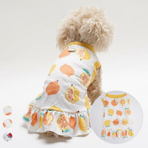  L p  n[lX̌^ t[c s[X t  ^ rV gCv[h U hbOEFA 킢 |GXe IW bh CG[