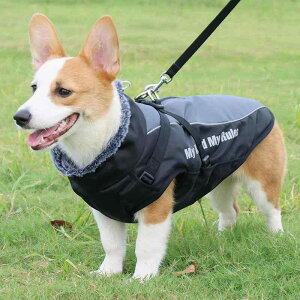  ^ ^ H~p g h ۉ  ȓ LeBO hbOEFA xXg R[M[ S[fgo[ uh[ {[_[R[ U o