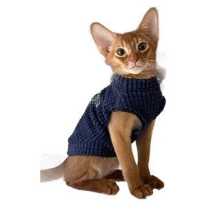 ybgEFA ^ Lp Lk  h H~ P[u҂ jbg J[gD[ 킢 f{bNX XtBNX JWA u[