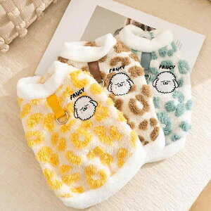 ybg jp H~ g t[XEFA t [ht ^ Lp qE LN^[ Ђ gCv[h rVt[[