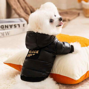 hbOEFA p OtF Vv H~ ubN S[h ȃWPbg ^ gCv[h rVt[[ h g U o