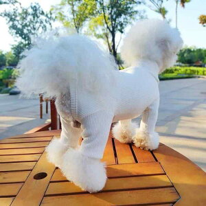  ^ hbOEFA gCv[h rVt[[ ViEU[ |jA p H~ ی nClbN lr jbg Z[^[   h  U JWA