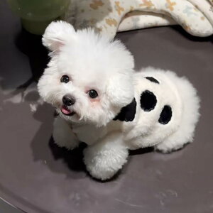 ybgEFA hbOEFA ^ q N g h ۉ  xXg m |GXef  JWA H~ rVt[[ |jA ViEU[