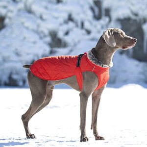 ybgEFA ^p H~  N ȓ ۉ h ߉\ EBhu[J[ hbOAE^[ |GXef ĕ jZbNX