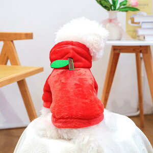 ybgEFA p Lp Lp  tln |GXe V[g ϐg Ȃ肫 RX`[ 񂲕 bh JWA  U Cxg LOBe 