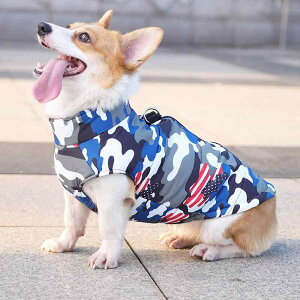 hbOEFA p H~  ۉ h  _E WPbg R[g R[M[ gCv[h rVt[[ ^ U o JWA |GXe ʕ