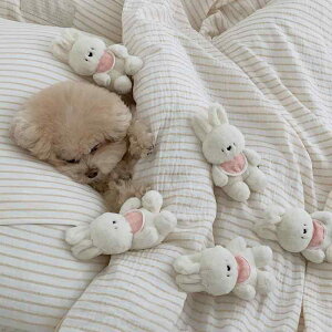 ybg Lp ʂ SNSŐlC ؍ oj[  @\t \tg ނ  XgX p(x2)