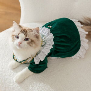  ^ H~ h rVt[[ gCv[h ViEU[ n[lX ̌^ Ȃ Jo[I[ p[X vZX hX 킢 |GXef  