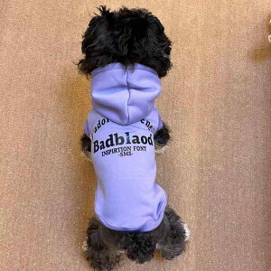  ^ q ViEU[ EGXgnCheA H~ ~p N t[ht ۉ h   p[J[ XEFbg hbOEFA ybgEFA JWA |GXe