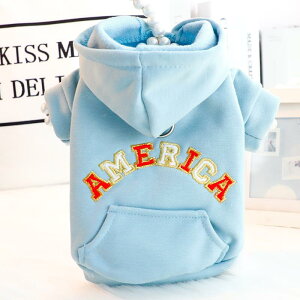 Lpp[J[ Vv t[ht [ht hJ u[ Rbg tH  ^ L hbOEFA efB 񂿂 ˂  U JWAEFA ۉ