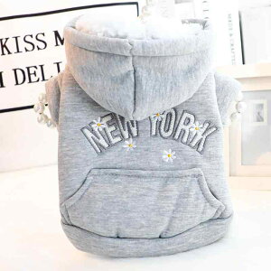 ybg ^ Lp gCv[h jp H~p  ȓ Rbg h g JWA hJ ԕ j[[NfUC [ht O[ EFA