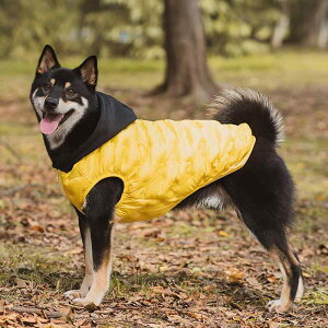 ybgEFA t[ht ^ AN RbgWPbg p H~ h h [ht  킢 ^ ^ ^ hbOEFA U  O p