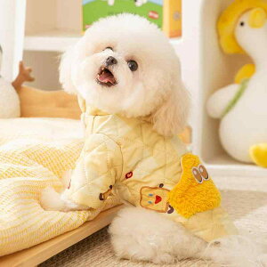 pEFA ^ ^ H~ g h t[XWPbg g[Xg Hp  킢 [ht 񑫃^Cv gCv[h ` rVt[[ ybg