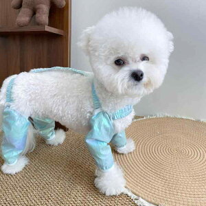 p ho h h y  |GXef U o I[V[YΉ [ht ľ^ Jo[I[ p[X hbOEFA ^ ^