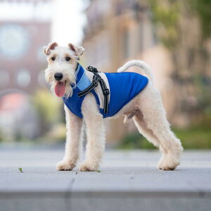  ^ ^ H~ h g [hDJt  ȃWPbg AE^[ hbOEFA ViEU[ ` gCv[h  p[v uE ybgpi