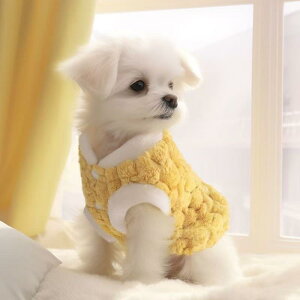 ybg ^ L H~ ۉ   t[X xXg 킢 JWA q gCv[h rVt[[ sN CG[