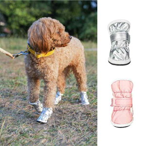 hbOu[c ^p h h Eɂ ~ ۉ V U gCv[h rVt[[ ViEU[ ~p sN Vo[O[