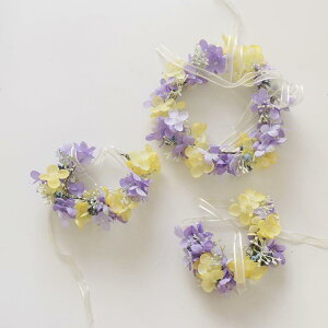 Ԋ uC_ EFfBO  AWTC x[ wbhhX Xgu[P ][g P[VtHg Be (x2)