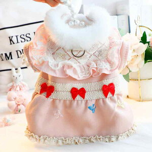  ^ Lp H~  h vZXhX [X X{ n[lX̌^ Rbg  hbOEFA U gCv[h 킢