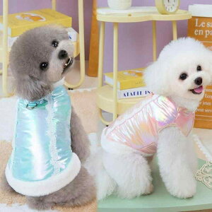 p R[g ^ ~p  h ۉ g Jt ȑf ybgEFA gCv[h rVt[[ U 킢 sN O[ JWA