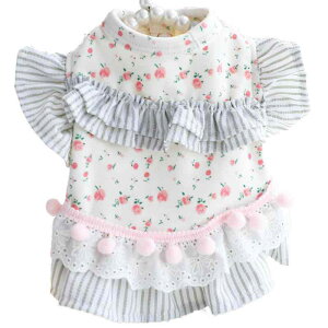 ybg s[X ^ gCv[h Lp t vZX ԕ ی  [EFA pW}  Rbg p[v x[W sN XS S M L XL TCY