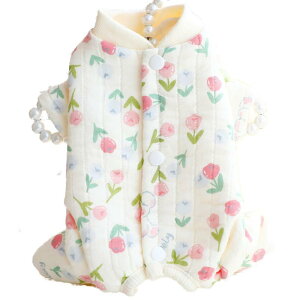  ^ X gCv[h lrȂ p[X p㕞 D  ی _uK[[ Rbg  tH JWA ԕ 