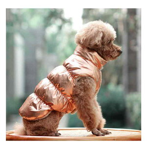  ~p  ۉ h Rbg xXg gCv[h rVt[[ ` ~j`AsV[ L ^ ^ JWA F F ԐF sN F