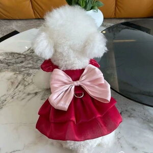 ybg hX ^ Lp t [ht vZX 킢 ӂӂ { `[  |GXe GKg tH[} ߑ U