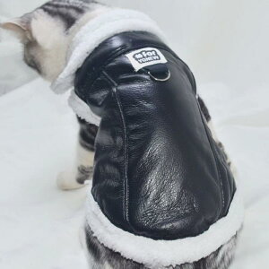  ^ ^ H~ h  tFCNU[ m[X[u xXg W AE^[ JWA ubN