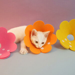 GUxXJ[ L p pPA ی \tg y tFg Ђ܂^ h r߂ݖh~ ʋC I[V[Y @\ J[Lx TCYWJ