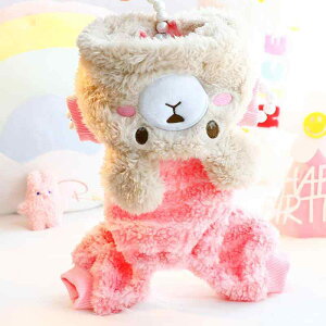 hbOEFA ^ gCv[h ps[ H~p  N ȓ h C{[xA 킢 I[C [ht U o JWA sN O[ CG[