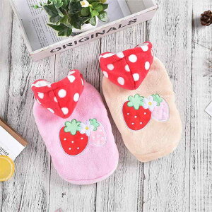 pEFA ^ ^ t[ht h ۉ   t[Xf 킢 gCv[h rVt[[ R[M[ H~ sN CG[