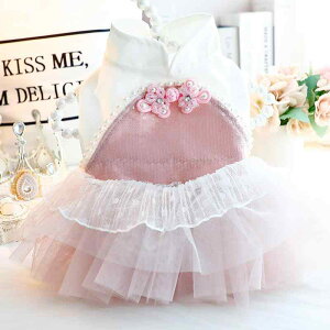 ybg  L ^ gCv[h Lp 킢 tH vZX `CihX ԕ `Ci{^ tH[} o sN ȑf XS S M L XL