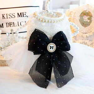 Lp hX ^ efB [ht p[ vZX EFfBO 킢 tH U o Rbg  ybgEFA