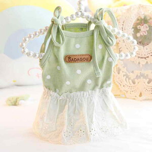 LphX t  Rbg hbg ؍ L~\[ vZX 킢 s[X ^ gCv[h Lp