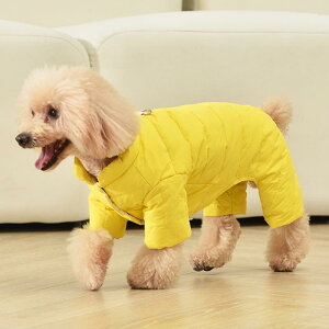 hbOEFA ^ q H~ n[lX̌^ N  h ۉ y gCv[h rVt[[ I[C _EWPbg