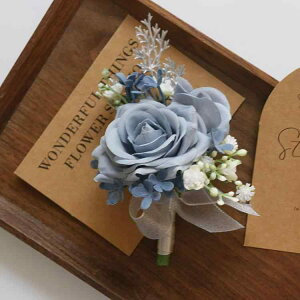 RT[W u[gjA XgRT[W   I p[eB[ rWlX T JƎ QXgp A[gt[   Cxg Cgu[ F(x2)