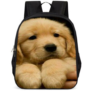 bNTbN wp LbY e y Sy ̌^  ʊw  K IbNXtH[hn 킢  jp A4Ή