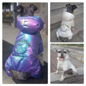 ybg h N ۉ I[J[ _EWPbg  Lp ȃWPbg ~ h g  PUf u[ zCg ^ ^ ^