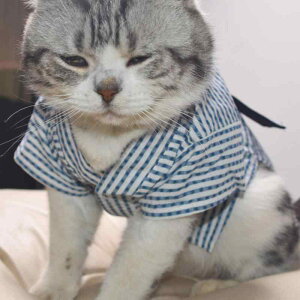 ybgEFA  Lp t  a  䂩 a čՂ Cxg U  킢  |GXe jp ^ ^