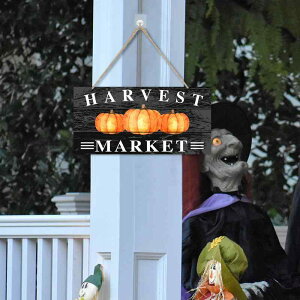 hAv[g nEB ؐ ` TCv[g Ŕ  _ CeA  rO   I[ig ƒp(x2)