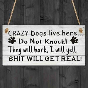 hAv[g  _ Vv ؐ cQ ` \D ֗p TC v[g CeA Ǐ ݂艺 p rO X Vzj Mtg(x2)